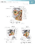 Sobotta Atlas of Human Anatomy  Head,Neck,Upper Limb Volume1 2006, page 364